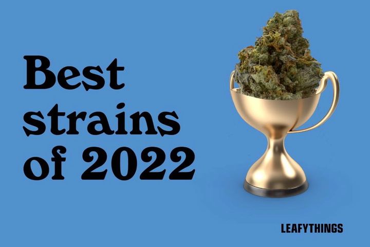 The Best Cannabis Strains of 2022
